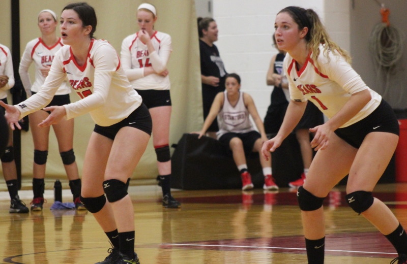 Volleyball Splits Tri-Match Hosted by Salem State