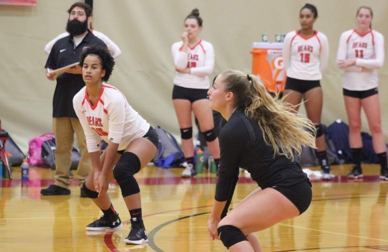 Volleyball Drops 3-0 Decision to Westfield State